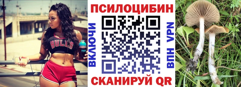 Псилоцибиновые грибы мицелий  гидра маркетплейс  Безенчук 