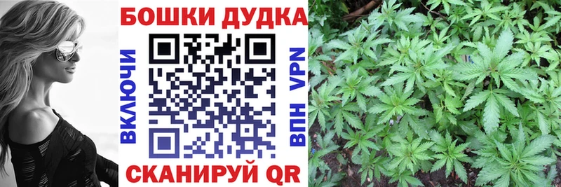 Каннабис SATIVA & INDICA Безенчук